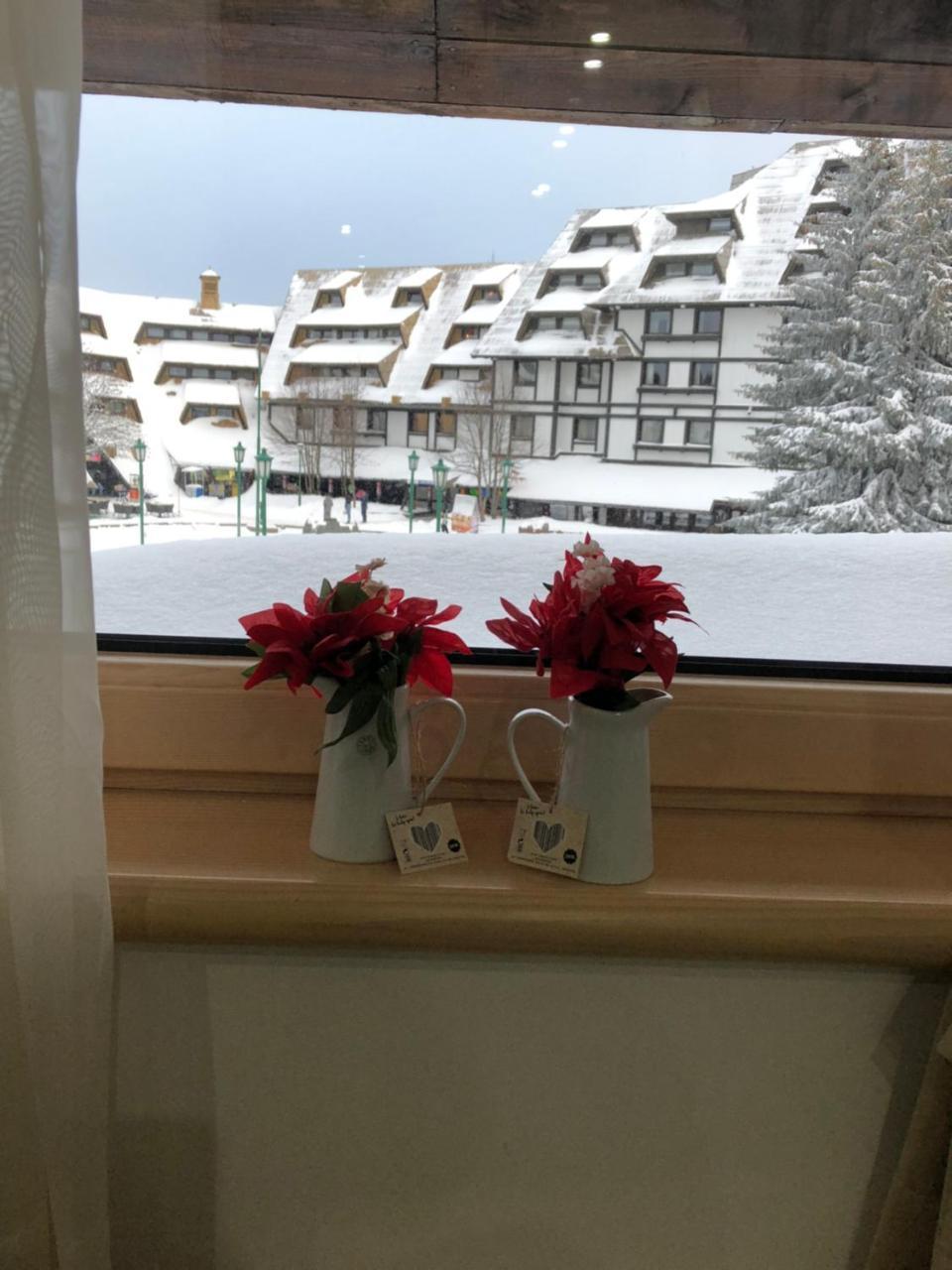 Apartmani Air Kopaonik Exteriér fotografie